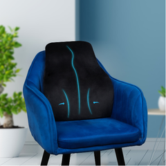 Backrest Cusion